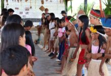 Escola indígena de Pacaraima aposta no turismo pedagógico para fortalecer cultura e gerar renda Escola indígena de Pacaraima aposta no turismo pedagógico para fortalecer cultura e gerar renda