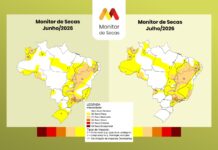 Área com seca em Roraima sobe de 7% para 50% em julho, aponta Monitor monitor de secas seca