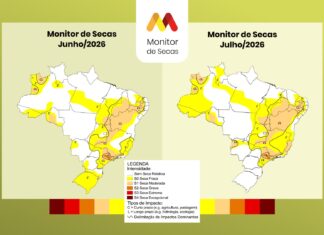 Área com seca em Roraima sobe de 7% para 50% em julho, aponta Monitor monitor de secas seca