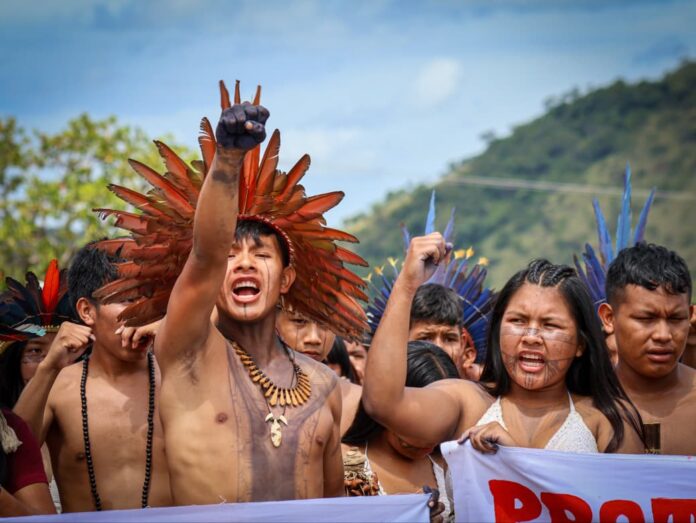 Mobilização indígena contra o marco temporal interdita trecho ao Norte da BR-174 em Roraima