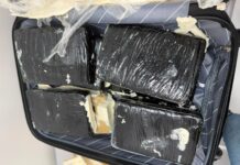 MPRR denuncia mulher presa com 33 kg de skunk no aeroporto de Boa Vista mulher drogas aeroporto