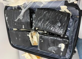 MPRR denuncia mulher presa com 33 kg de skunk no aeroporto de Boa Vista mulher drogas aeroporto