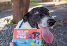 Campanha Antirrábica vacina 14,4 mil cães e gatos em Boa Vista Antirrábica