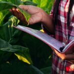 Inscrições de especialização para profissionais da Educação do Campo da UFRR terminam na segunda-feira (17) Inscrições de especialização para profissionais da Educação do Campo da UFRR terminam na segunda-feira (17)