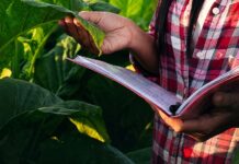 Inscrições de especialização para profissionais da Educação do Campo da UFRR terminam na segunda-feira (17) Inscrições de especialização para profissionais da Educação do Campo da UFRR terminam na segunda-feira (17)