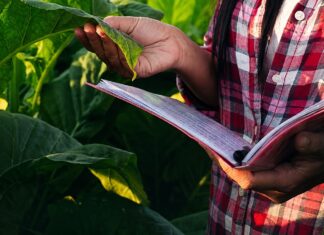 Inscrições de especialização para profissionais da Educação do Campo da UFRR terminam na segunda-feira (17) Inscrições de especialização para profissionais da Educação do Campo da UFRR terminam na segunda-feira (17)