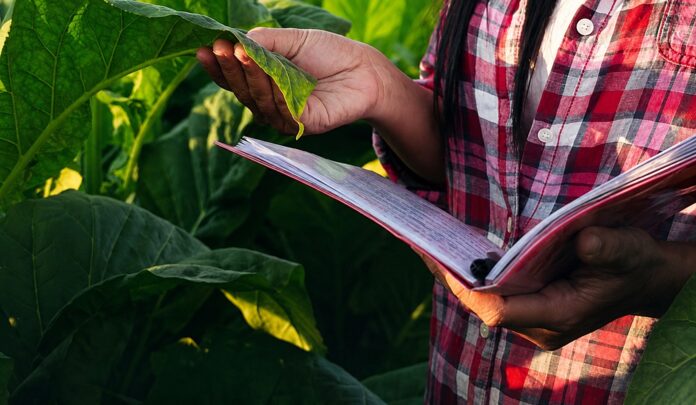 Educacao-do-Campo-pos-graduacao Inscrições de especialização para profissionais da Educação do Campo da UFRR terminam na segunda-feira (17)