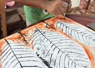 Nova galeria de arte da UFRR estreia com exposição que reúne artistas indígenas, mestres tradicionais e novos talentos de Roraima Arte