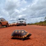 Rodovia entre Lethem e Georgetown pode reduzir em até oito dias transporte de cargas de Roraima Lethem