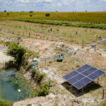 Com menos chuva, agricultores de Boa Vista antecipam irrigação para evitar perdas nas lavouras