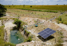 Com menos chuva, agricultores de Boa Vista antecipam irrigação para evitar perdas nas lavouras
