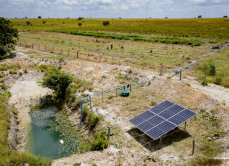 Com menos chuva, agricultores de Boa Vista antecipam irrigação para evitar perdas nas lavouras