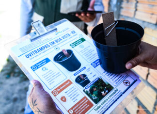 Prefeitura de Boa Vista instala ovitrampas em 14 bairros para monitorar mosquito da dengue Prefeitura de Boa Vista instala ovitrampas em 14 bairros para monitorar mosquito da dengue