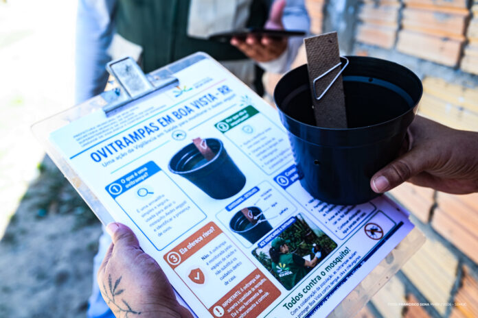 Prefeitura de Boa Vista instala ovitrampas em 14 bairros para monitorar mosquito da dengue