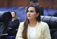 Lei de autoria de Joilma Teodora cria campanha de orientação sobre posse e propriedade rural joilma teodora verde e amarelo lei