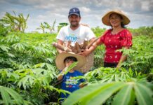 Prefeitura abre inscrições para nova etapa da Linha Agro com crédito de até R$ 20 mil por pessoa em Boa Vista Prefeitura abre inscrições para nova etapa da Linha Agro com crédito de até R$ 20 mil por pessoa em Boa Vista