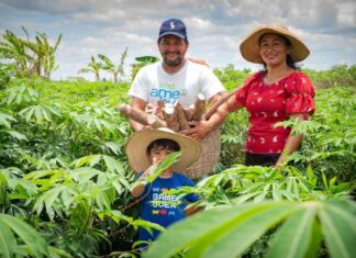 Prefeitura abre inscrições para nova etapa da Linha Agro com crédito de até R$ 20 mil por pessoa em Boa Vista Prefeitura abre inscrições para nova etapa da Linha Agro com crédito de até R$ 20 mil por pessoa em Boa Vista