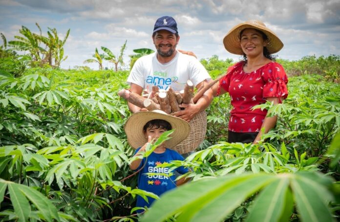 Linha Agro da AME BV - Ft FERNANDO TEIXEIRA1 Prefeitura abre inscrições para nova etapa da Linha Agro com crédito de até R$ 20 mil por pessoa em Boa Vista