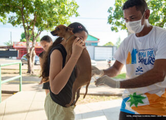 Vacinação antirrábica segue até as 17h em 19 pontos de Boa Vista neste sábado (8) vacinação