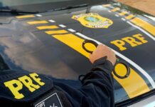 PRF apreende cargas de madeira sem documentação e cumpre mandados de prisão em Roraima PRF