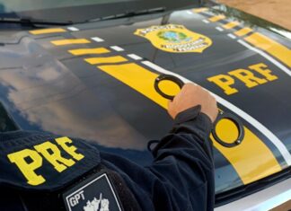 PRF apreende cargas de madeira sem documentação e prende três pessoas em Roraima PRF