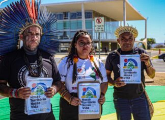 APIB lança projeto que cobra demarcação de Terras Indígenas até 2030 demarcações indígenas