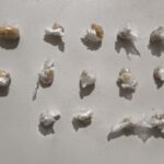 Homem é preso após ser flagrado recebendo pasta base de cocaína por cima de cerca em Boa Vista Homem é preso após ser flagrado recebendo pasta base de cocaína por cima de cerca em Boa Vista
