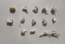 Homem é preso após ser flagrado recebendo pasta base de cocaína por cima de cerca em Boa Vista Homem é preso após ser flagrado recebendo pasta base de cocaína por cima de cerca em Boa Vista
