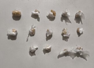Homem é preso após ser flagrado recebendo pasta base de cocaína por cima de cerca em Boa Vista Homem é preso após ser flagrado recebendo pasta base de cocaína por cima de cerca em Boa Vista