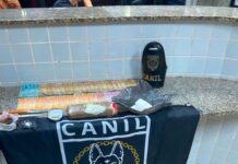 Cadela Fúria encontra mochila com drogas escondida sob roupas durante operação em Boa Vista
