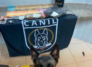 Cadela Fúria encontra mochila com drogas escondida sob roupas durante operação em Boa Vista