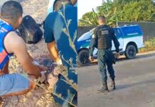 Ciclista morre após colisão com carro na rodovia RR-325 em Mucajaí ciclista