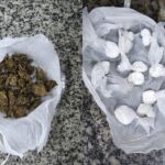 Jovem é preso suspeito de tráfico com cocaína e skank em frente a bar em Boa Vista Tráfico