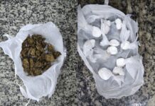 Jovem é preso suspeito de tráfico com cocaína e skank em frente a bar em Boa Vista Tráfico