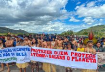 Indígenas bloqueiam BR-174 em Pacaraima contra marco temporal indígenas marco temporal br-174