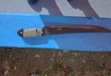 Mulher é ferida durante agressão com facão e suspeito é detido em Caracaraí Mulher