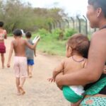 Conab realiza leilão para comprar 8 mil cestas de alimentos destinadas ao povo Yanomami em RR leilão