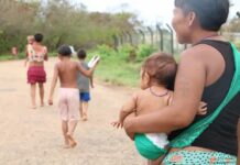 Conab realiza leilão para comprar 8 mil cestas de alimentos destinadas ao povo Yanomami em RR leilão