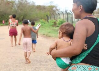 Conab realiza leilão para comprar 8 mil cestas de alimentos destinadas ao povo Yanomami em RR leilão