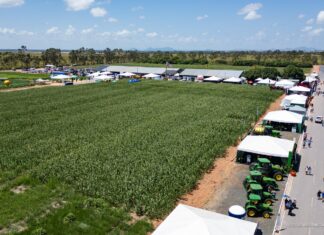 Campo experimental da AgroBV fortalece o agronegócio com pesquisa, tecnologia e novos negócios