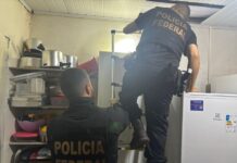Polícia Civil de Roraima e PF integram operação nacional contra abuso sexual infantojuvenil pf operação