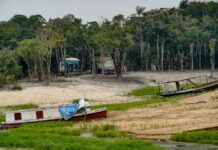 El Niño pode reduzir chuvas e baixar nível de rios na Região Norte até 2027 el niño