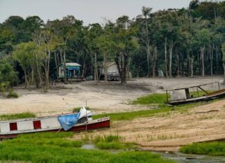El Niño pode reduzir chuvas e baixar nível de rios na Região Norte até 2027 el niño