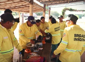 CIR promove capacitação inédita sobre manuseio e manutenção de equipamentos para brigadistas indígenas CIR promove capacitação inédita sobre manuseio e manutenção de equipamentos para brigadistas indígenas
