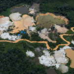 MPF cobra R$ 1,7 bilhão de envolvidos em esquema de cassiterita ilegal na Terra Yanomami yanomami