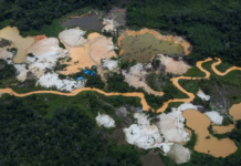 MPF cobra R$ 1,7 bilhão de envolvidos em esquema de cassiterita ilegal na Terra Yanomami yanomami
