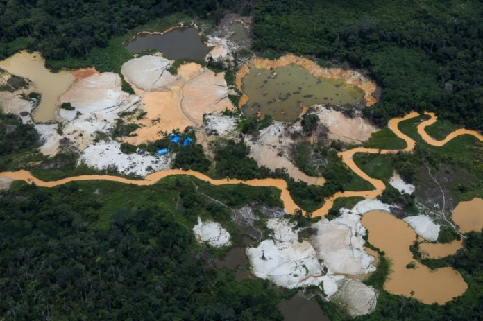 yanomami
