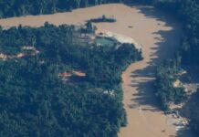 Pilotos de aviões clonados viram réus por abastecer garimpo ilegal na Terra Yanomami Pilotos de aviões clonados viram réus por abastecer garimpo ilegal na Terra Yanomami