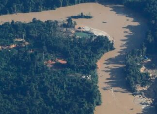 Pilotos de aviões clonados viram réus por abastecer garimpo ilegal na Terra Yanomami Pilotos de aviões clonados viram réus por abastecer garimpo ilegal na Terra Yanomami