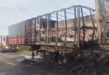 Caminhão carregado com alimentos pega fogo na BR-174, em Roraima Caminhão